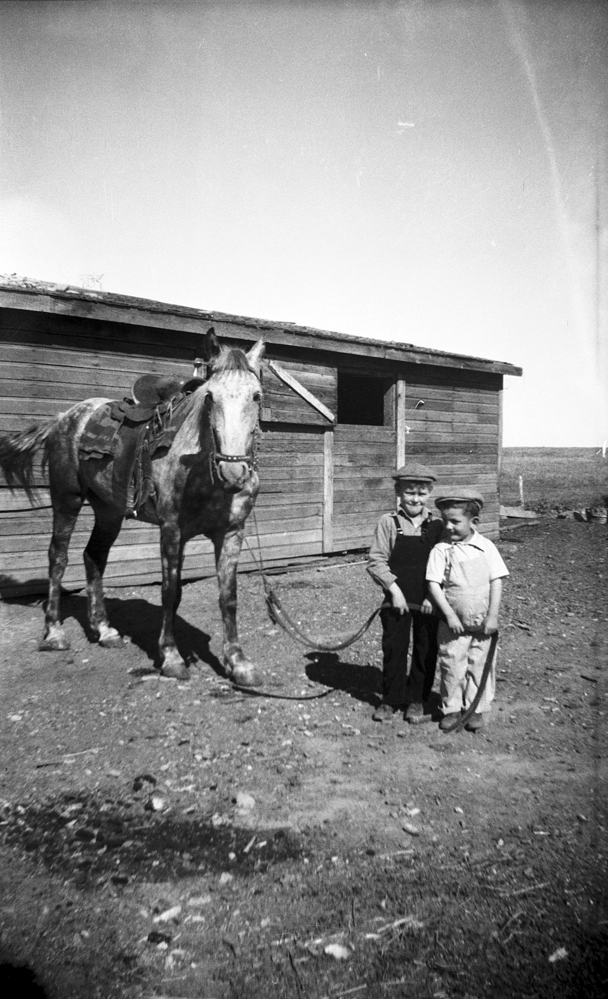 Harold & Robert Entze