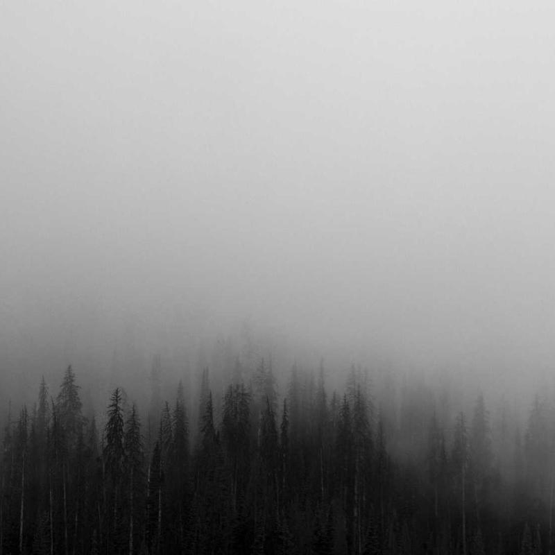 Iusto voluptate id est ut ducimus.