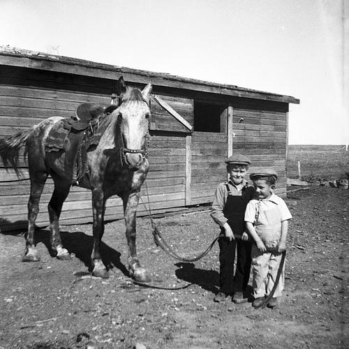 Harold & Robert Entze