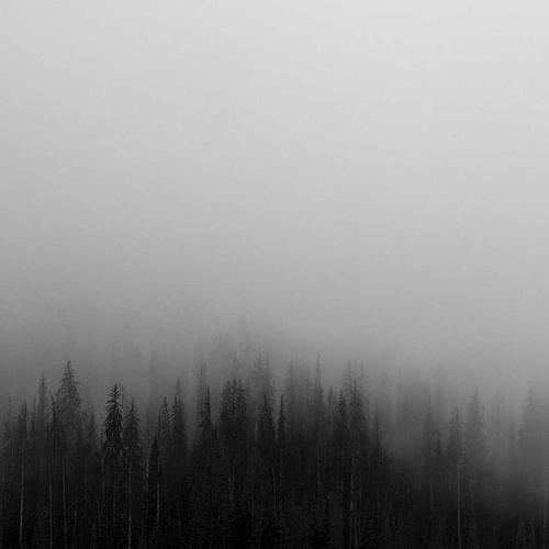 Iusto voluptate id est ut ducimus.